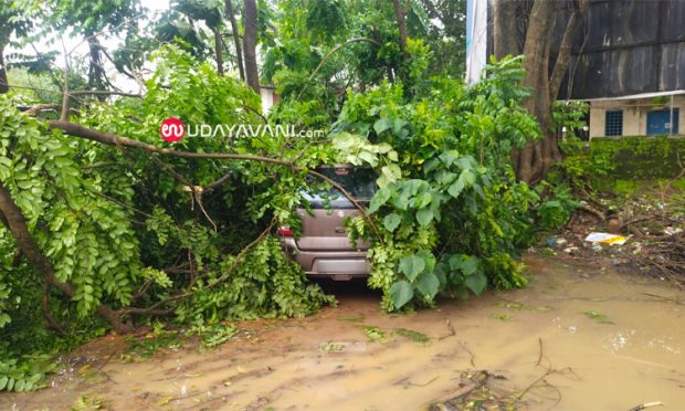 BC Road: ಬಿರುಗಾಳಿಯ ರಭಸಕ್ಕೆ ಹಲವೆಡೆ ಹಾನಿ