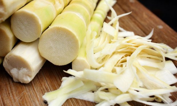 6–bamboo-shoot