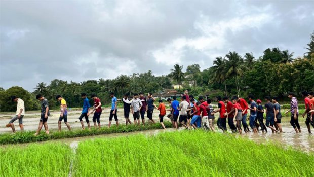 Agricultural Activity; ಗದ್ದೆಗಿಳಿದು ಭತ್ತದ ನಾಟಿ ಮಾಡಿದ ವಿದ್ಯಾರ್ಥಿಗಳು !