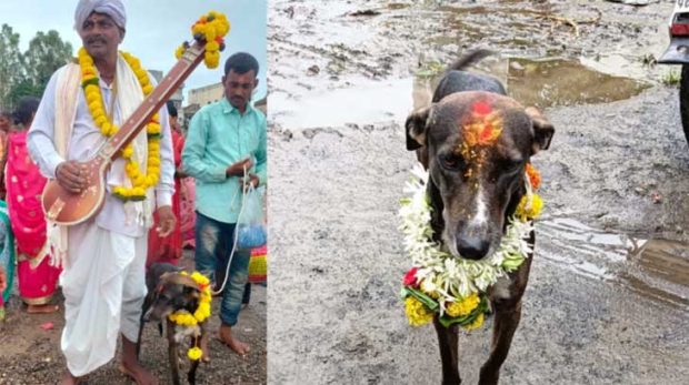 ಬೆಳಗಾವಿ: ಮಾಲೀಕನನ್ನು ಹುಡುಕಿಕೊಂಡು 200 ಕಿ.ಮೀ ಕ್ರಮಿಸಿದ ನಾಯಿ!