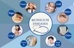 Monsoon Diseases Part 2:ಮಾನ್ಸೂನ್‌ ರೋಗಗಳು ಮತ್ತು ತಡೆಗಟ್ಟುವಿಕೆ ಸಲಹೆಗಳು