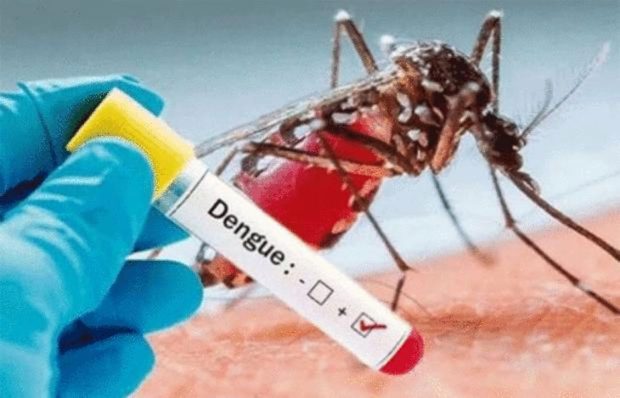 Dengue