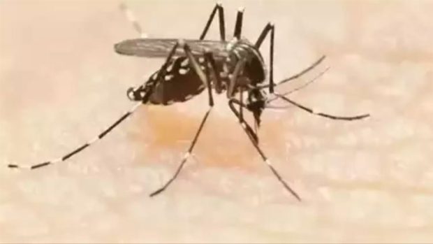 Dengue case ನೀರು ನಿಲ್ಲದಂತೆ ನಿಗಾ ವಹಿಸಿ: ಅಪರ ಜಿಲ್ಲಾಧಿಕಾರಿ