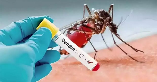 Dengue Case ರಾಜ್ಯದಲ್ಲಿ ಒಂದೇ ದಿನದಲ್ಲಿ 437 ಡೆಂಗ್ಯೂ ಪ್ರಕರಣ