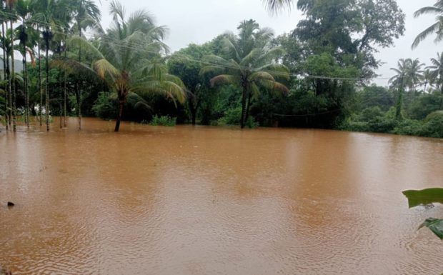 Heavy Rains ದಕ್ಷಿಣ ಕನ್ನಡದಲ್ಲಿ ಮುಂದುವರಿದ ಮಳೆ; ಕೆಲವೆಡೆ ಹಾನಿ