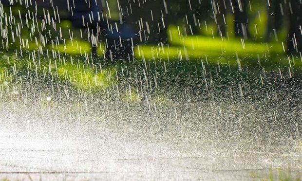 Rain: ತುಂಗಾ ತೀರದಲ್ಲಿ ದಿಢೀರ್ ಪ್ರವಾಹ ಭೀತಿ; ಬಿದನೂರು ನಗರದಲ್ಲಿ 316 ಮಿಮೀ ದಾಖಲೆ ಮಳೆ