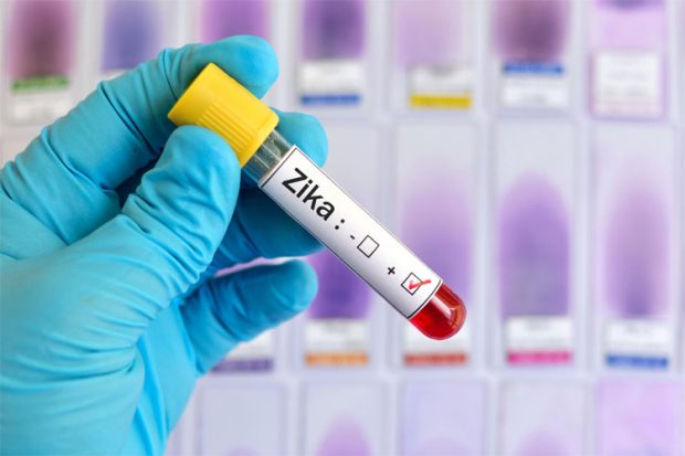 Zika Virus Test: “ಝೀಕಾ’ ಸೋಂಕನ್ನೂ ಹರಡುತ್ತಿದೆ ಈಡಿಸ್‌ ಸೊಳ್ಳೆ!