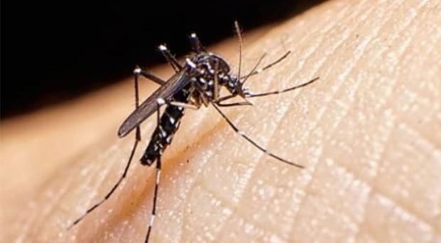 Hubli; Udupi-based student passed away suspected dengue fever