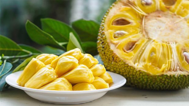 Jackfruit ವಿಚಾರ: ಕತ್ತಿ ತೋರಿಸಿ ಬೆದರಿಕೆ ಆರೋಪ; ಪ್ರಕರಣ ದಾಖಲು