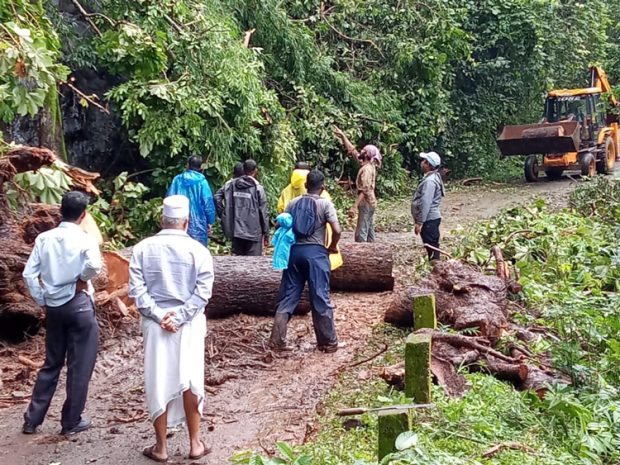 Kodagu: ಗಾಳಿ ಮಳೆಯ ಹೊಡೆತಕ್ಕೆ ಧರೆಗುರುಳಿದ ಮರಗಳು, ಕುಸಿದ ಧರೆ: ಹಲವೆಡೆ ಆತಂಕ ಸೃಷ್ಟಿ