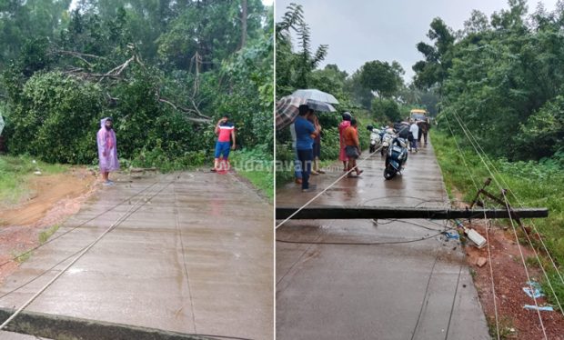 Kundapura: ಧರೆಗುರುಳಿದ ಬೃಹತ್ ಮರ, ವಿದ್ಯುತ್ ಕಂಬಗಳು.. ಸ್ವಲ್ಪದರಲ್ಲೇ ಪಾರಾದಾ ಶಾಲಾ‌ ಬಸ್