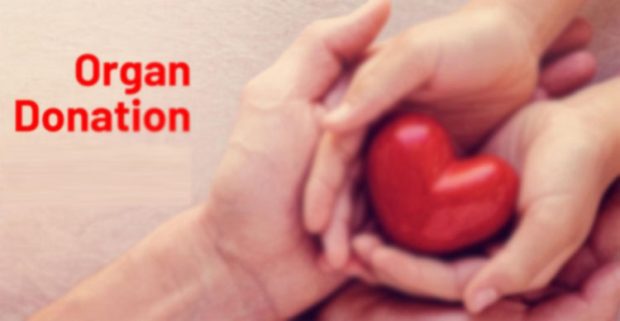 Organ Donation; 6 ಮಂದಿಯ ಬಾಳಿಗೆ ಬೆಳಕಾದ ಚಂದನಾ