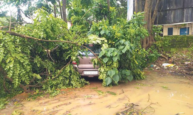 BC Road: ಬಿರುಗಾಳಿ; ಅಪಾರ ಹಾನಿ