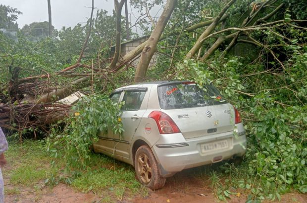 Thirthahalli: ಗಾಳಿ ಮಳೆಯ ಅಬ್ಬರಕ್ಕೆ ವಿದ್ಯುತ್ ಕಂಬ, ಮರಗಳು ಧರೆಗೆ, ಹಲವೆಡೆ ಹಾನಿ