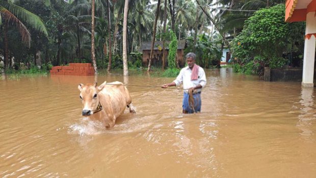 Heavy Rain ಉಡುಪಿ: 40ಕ್ಕೂ ಅಧಿಕ ಮನೆಗಳಿಗೆ ಹಾನಿ