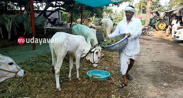 Mudhol: ಶಿರೋಳ ರೈತನ ಕೈ ಹಿಡಿದ ಸಾವಯವ ಕೃಷಿ