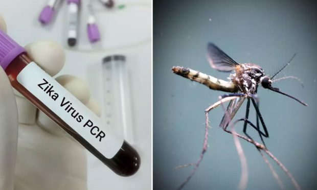 Zika virus: ಮತ್ತೆ 7 ಮಂದಿಯಲ್ಲಿ ಝೀಕಾ ವೈರಸ್‌ ಪತ್ತೆ