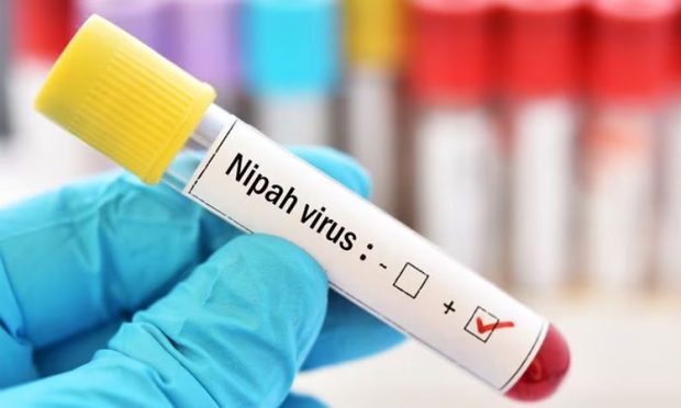 Nipah Virus: ಕೇರಳದಲ್ಲಿ ಮತ್ತೆ ನಿಫಾ ವೈರಸ್‌ ಸೋಂಕು ಭೀತಿ; ಇಬ್ಬರು ಆಸ್ಪತ್ರೆಗೆ