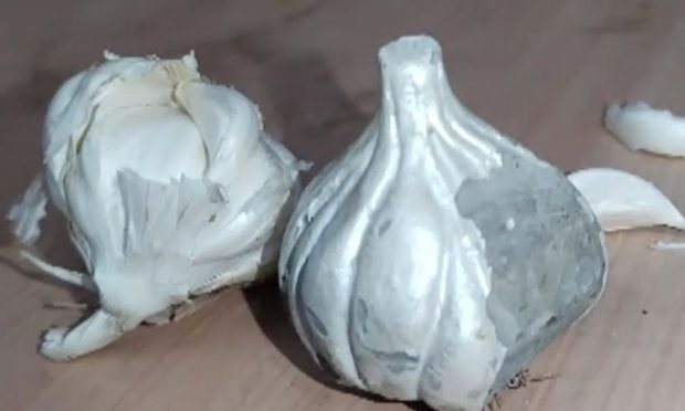 Fake-Garlic