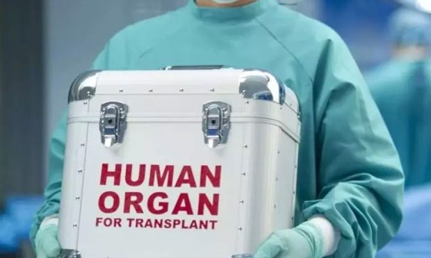 Human-Organ