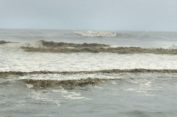 Sea; ಕಪ್ಪಾದ ಕರಾವಳಿ ಕಡಲ ಒಡಲು; ಆಳಸಮುದ್ರದಲ್ಲಿ ಭಾರೀ ಗಾಳಿ