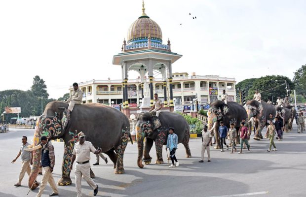 Mysuru-dasa