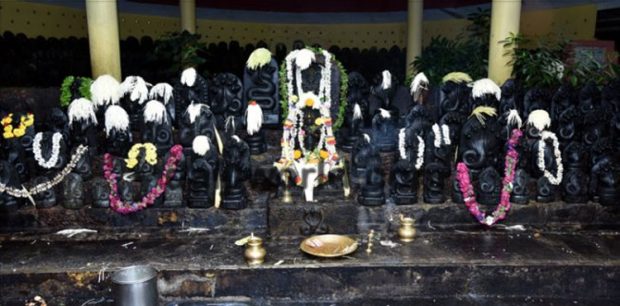 Naga Panchami; ಇಂದು ನಾಗರಪಂಚಮಿ ಸಂಭ್ರಮ