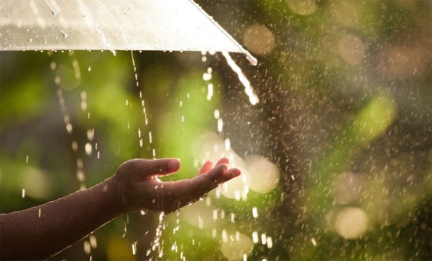 Rain ಕರಾವಳಿಯಾದ್ಯಂತ ಸಾಧಾರಣ ಮಳೆ