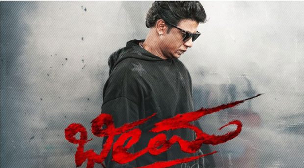 bheema review