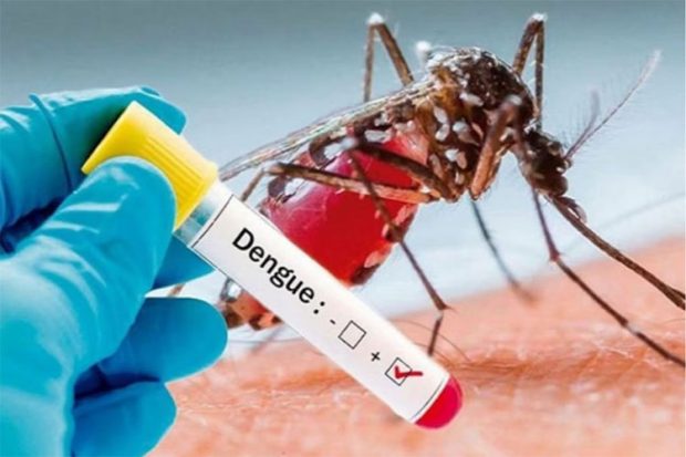 Dengue Case ರಾಜ್ಯದಲ್ಲಿ 19 ಸಾವಿರ ಸನಿಹಕ್ಕೆ ಡೆಂಗ್ಯೂ ಪ್ರಕರಣ