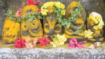 “Naga Panchami ಸ್ವಚ್ಛ ಪಂಚಮಿ’: ಉದಯವಾಣಿ – ಉಡುಪಿ ನಗರಸಭೆ ಅಭಿಯಾನ