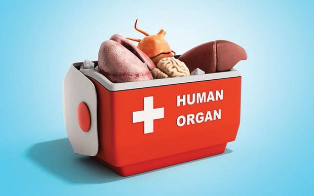 organ-transplants-2