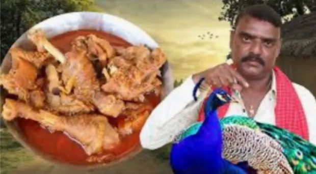 YouTuber arrested for making and eating peacock curry