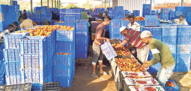 Bangladesh ದಂಗೆಯಿಂದ ರಾಜ್ಯದ ಟೊಮೇಟೊ ಚಟ್ನಿ !