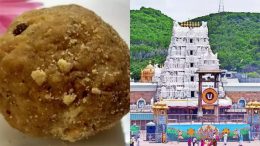 FollowUp:Tirupati Laddoo ವಿವಾದ- ಆಂಧ್ರ ಸಿಎಂ ಬಳಿ ವಿಸ್ತೃತ ವರದಿ ಕೇಳಿದ ಕೇಂದ್ರ ಸರ್ಕಾರ