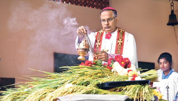 Church ಕರಾವಳಿಯಲ್ಲಿ ಸಂಭ್ರಮದ ಮೊಂತಿ ಹಬ್ಬ ಆಚರಣೆ