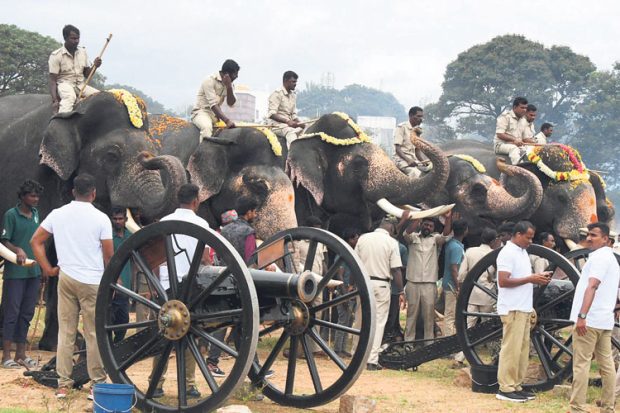 Mysuru-Dasara