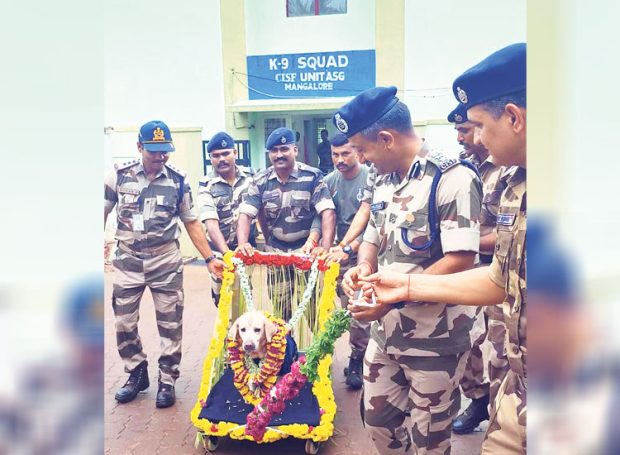 Airport: ಭದ್ರತೆಯಿಂದ ಜೂಲಿ ನಿವೃತ್ತಿ: 8 ವರ್ಷಗಳಿಂದ ಸೇವೆಯಲ್ಲಿದ್ದ ಶ್ವಾನ