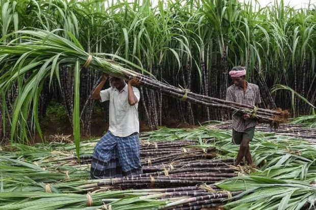 Kalaburagi: ಕಬ್ಬು ಬೆಳೆಗಾರರ ಸಮಸ್ಯೆಗೆ ಸ್ಪಂದಿಸಲು ಸರಕಾರಗಳ ಮೇಲೆ ಒತ್ತಡ, ಬೃಹತ್ ಸಮ್ಮೇಳನ