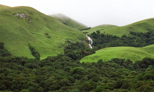 weWestern Ghat: ಹಳ್ಳಿ ಹಳ್ಳಿಗೂ ವಿಸ್ತರಿಸುತ್ತಿದೆ ಕಸ್ತೂರಿ ಹೋರಾಟ ಕಿಚ್ಚು