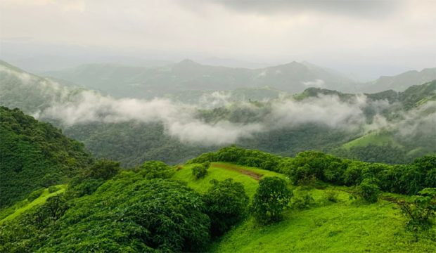 Western Ghats ಕಸ್ತೂರಿ ರಂಗನ್‌ ವರದಿ ಯಥಾವತ್‌ ಜಾರಿ ಬೇಡ