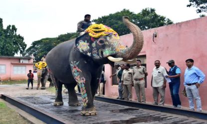 Dasara elephants: ದಸರಾ ಆನೆಗಳ ದಾದಾಗಿರಿ ದಿನಗಳು!