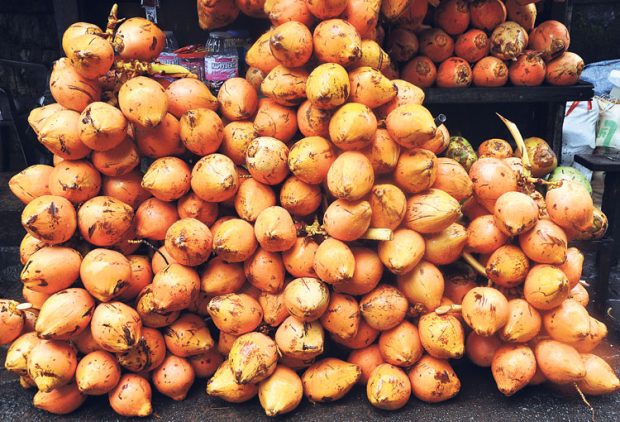 Coconut Water: ಮೊದಲ ಬಾರಿ ರೈತರಿಗೆ ಬಂಪರ್‌ ದರ