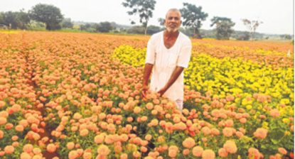 Deepavali Festival: ರೈತರ ಪಾಲಿಗೆ ಹೂವಾಯ್ತು ದೀಪಾವಳಿ ಹಬ್ಬದ ಬೋನಸ್‌!