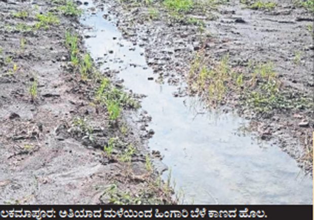 ಧಾರವಾಡ: ಕೃಷಿ ಚಟುವಟಿಕೆ ಸ್ಥಗಿತ-ಕೈಕಟ್ಟಿ ಕುಳಿತ ಅನ್ನದಾತ