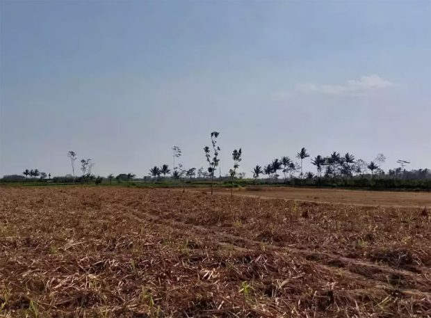 ಸರಕಾರಿ ಸೊತ್ತುಗಳ ರಕ್ಷಣೆಗೆ ಸೂಕ್ತ ಕ್ರಮ; ಒತ್ತುವರಿ ಭೂಮಿಗೆ ಬೇಲಿ!