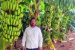 Banana Crop: ಇರಾನ್ ದೇಶಕ್ಕೆ ಜಗದಾಳ ಗ್ರಾಮದ ಬಾಳೆ ಹಣ್ಣು… 11 ತಿಂಗಳಲ್ಲಿ ಲಕ್ಷಾಂತರ ಲಾಭ