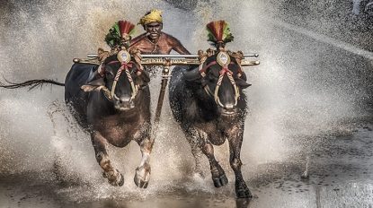 Kambala: ಹೊಸ ಪ್ರಯೋಗದತ್ತ ಕಂಬಳ: ಈ ಬಾರಿ ಒಂದಲ್ಲ, ಮೂರು ಹೊಸ ತಂತ್ರಜ್ಞಾನ ಅಳವಡಿಕೆ