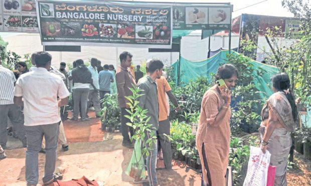 Bengaluru Krishi Mela: ಜಿಕೆವಿಕೆ ಕೃಷಿ ಮೇಳಕ್ಕೆ 34.13 ಲಕ್ಷ  ಜನರ ಭೇಟಿ