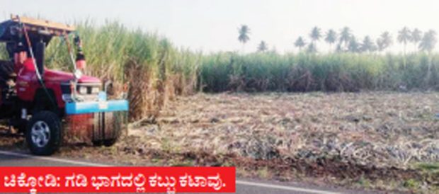 ಚಿಕ್ಕೋಡಿ: ಕಬ್ಬು ದರ ಹೆಚ್ಚಳ-ಹುಸಿಯಾದ ರೈತರ ನಿರೀಕ್ಷೆ